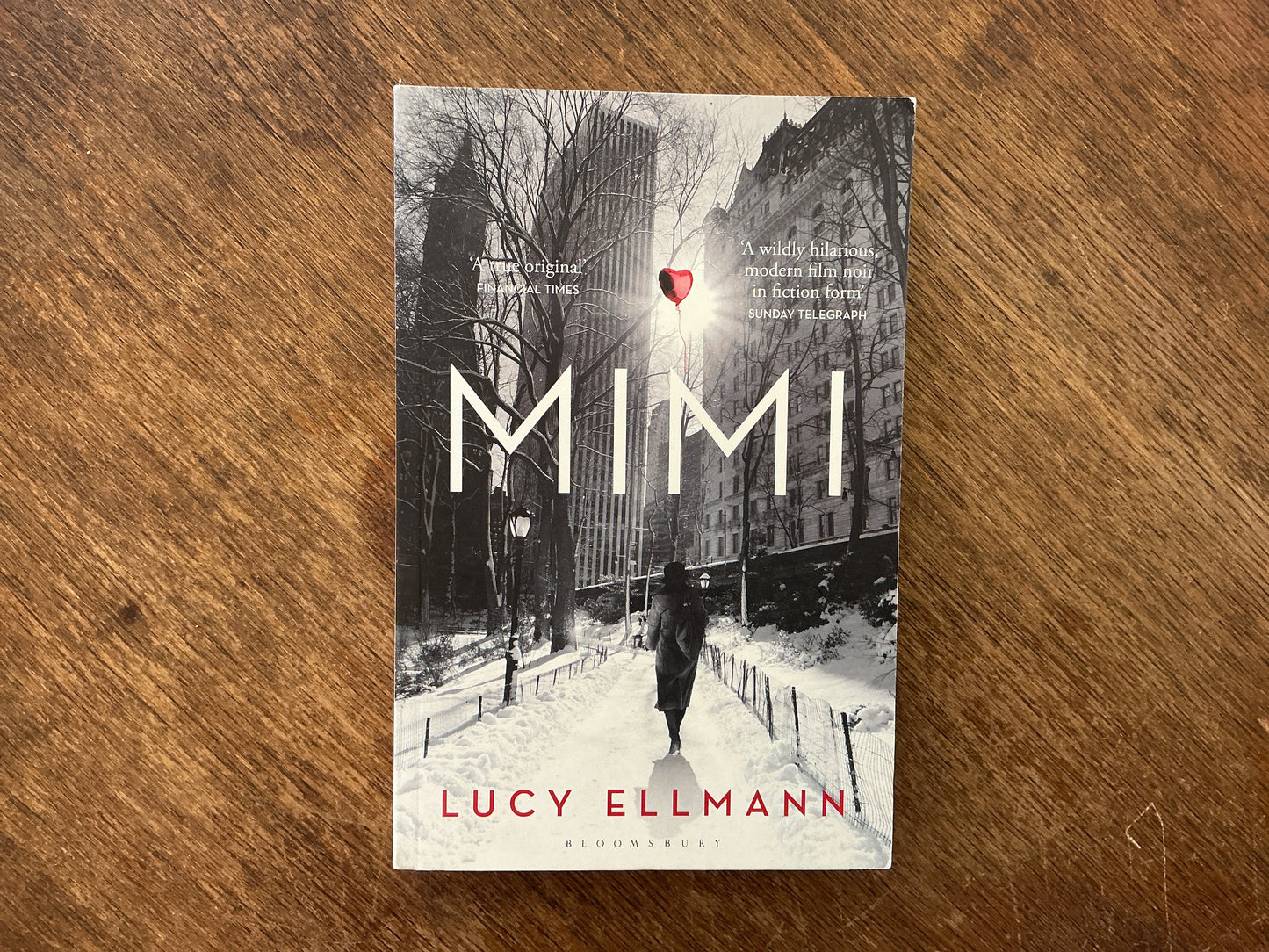 Mimi by Lucy Ellmann