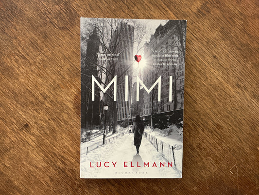 Mimi by Lucy Ellmann