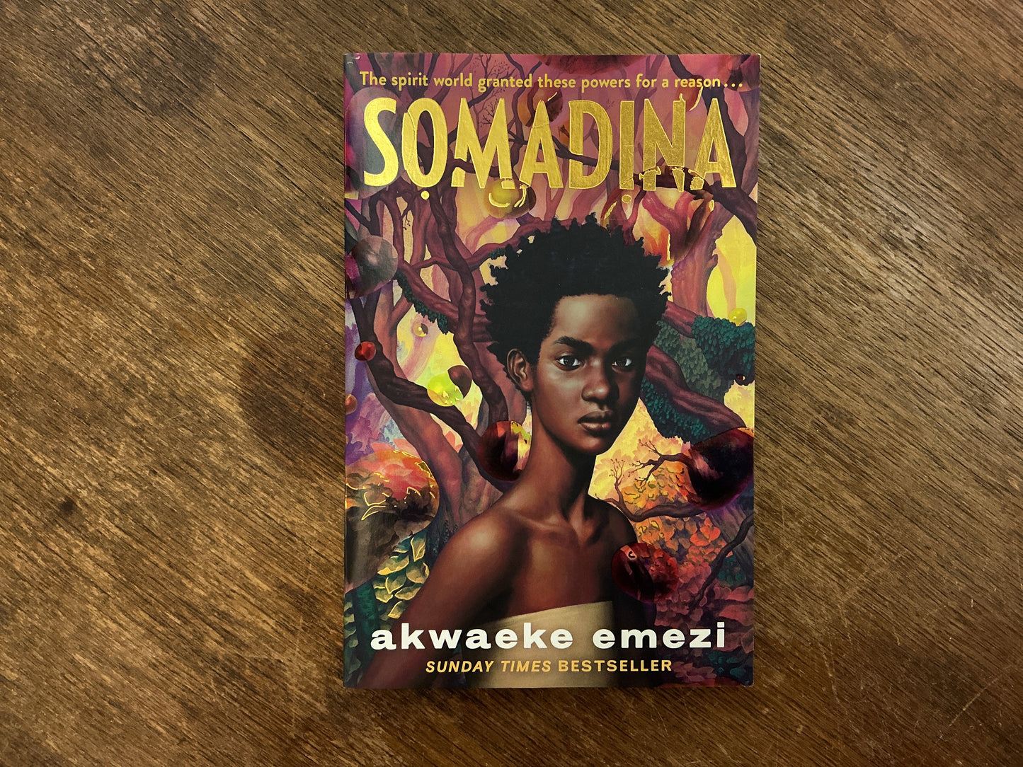 Somadina: An epic YA fantasy from Sunday Times bestselling author Akwaeke Emezi
