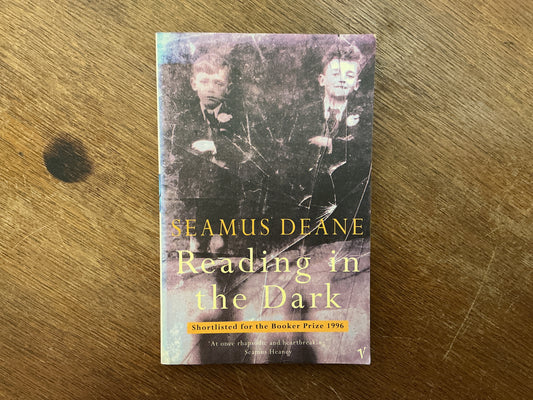 Reading in the Dark by Seamus Deane