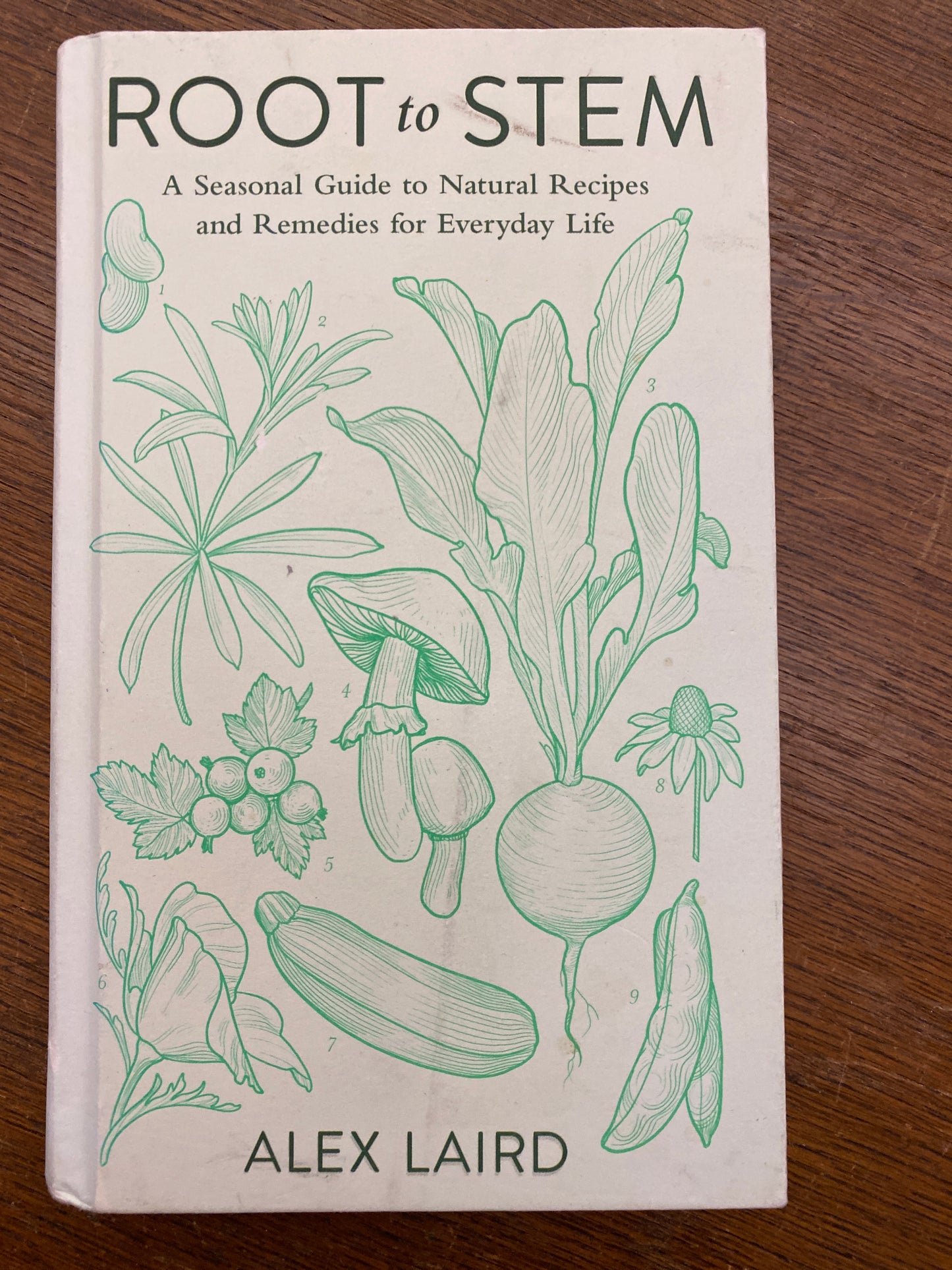 Root to Stem: A seasonal guide to natural recipes and remedies for everyday life