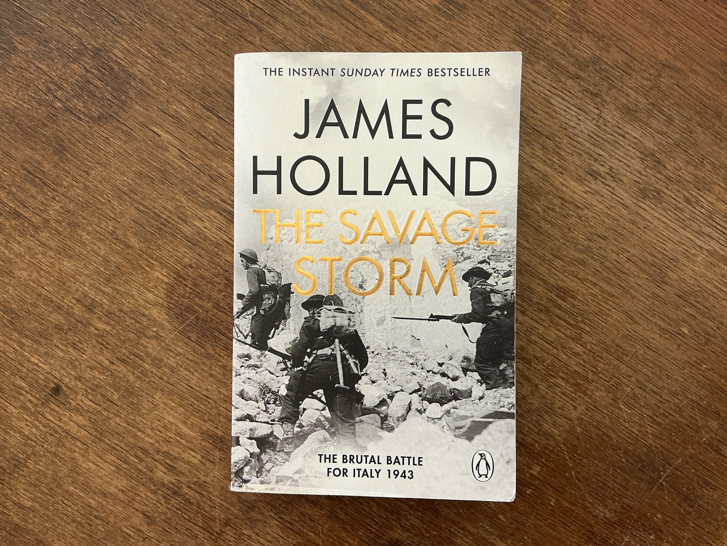The Savage Storm: The Brutal Battle for Italy 1943 by James Holland