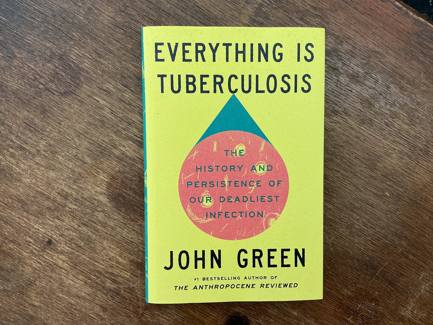 Everything Is Tuberculosis: The History and Persistence of Our Deadliest Infection