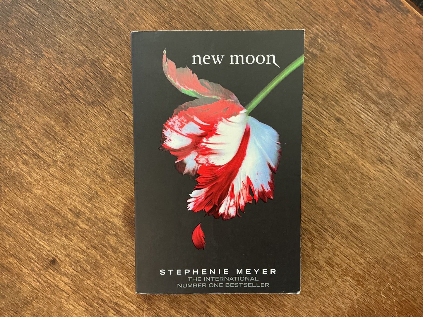 New Moon (Twilight Saga) by Stephenie Meyer