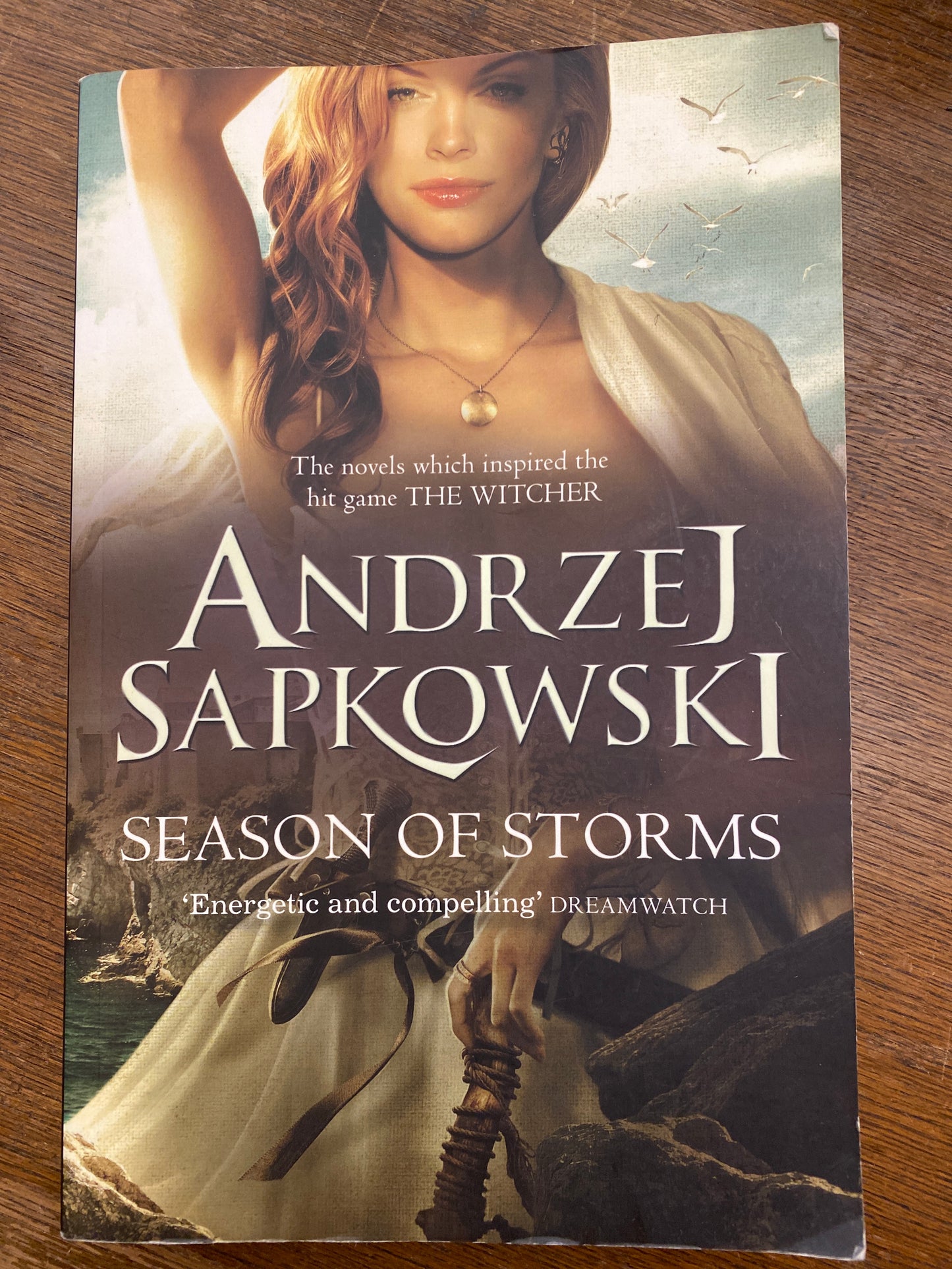 Season of Storms (Witcher 0.2) by Andrzej Sapkowski