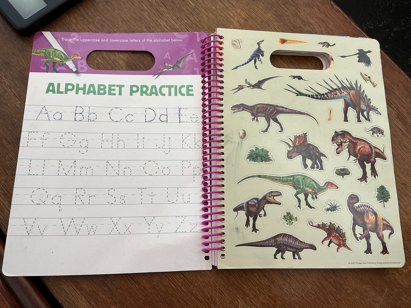 Write and Wipe Dinosaurs