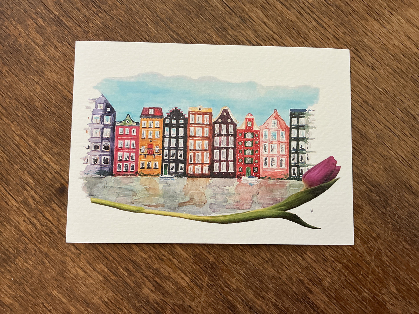 Canal houses with Tulip Postcard