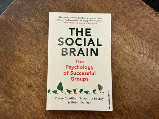 The Social Brain: The Psychology of Successful Groups by Tracey Camilleri