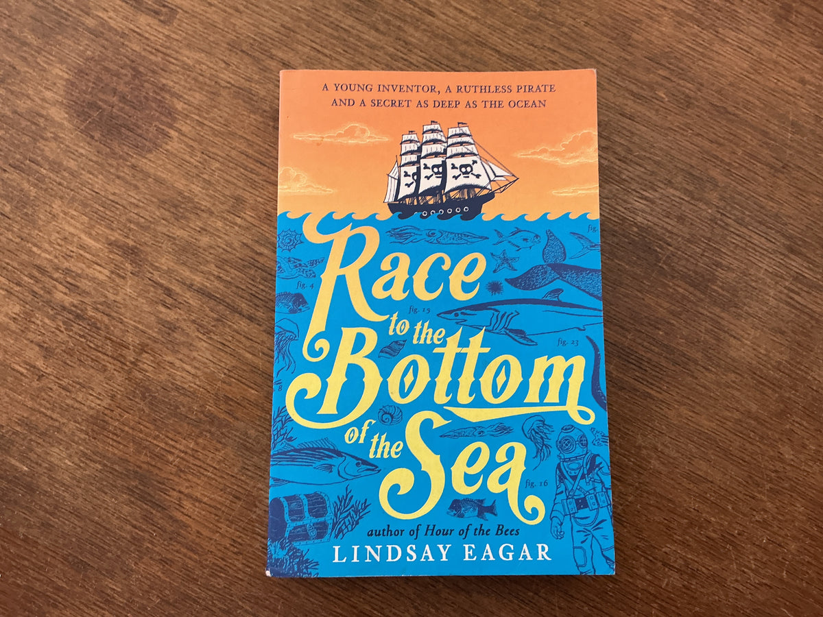 Race to the Bottom of the Sea by Lindsay Eagan
