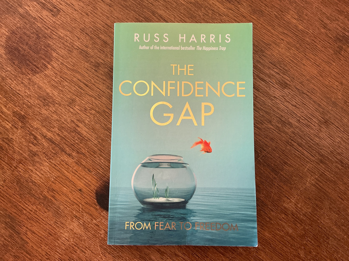 The Confidence Gap by Russ Harris