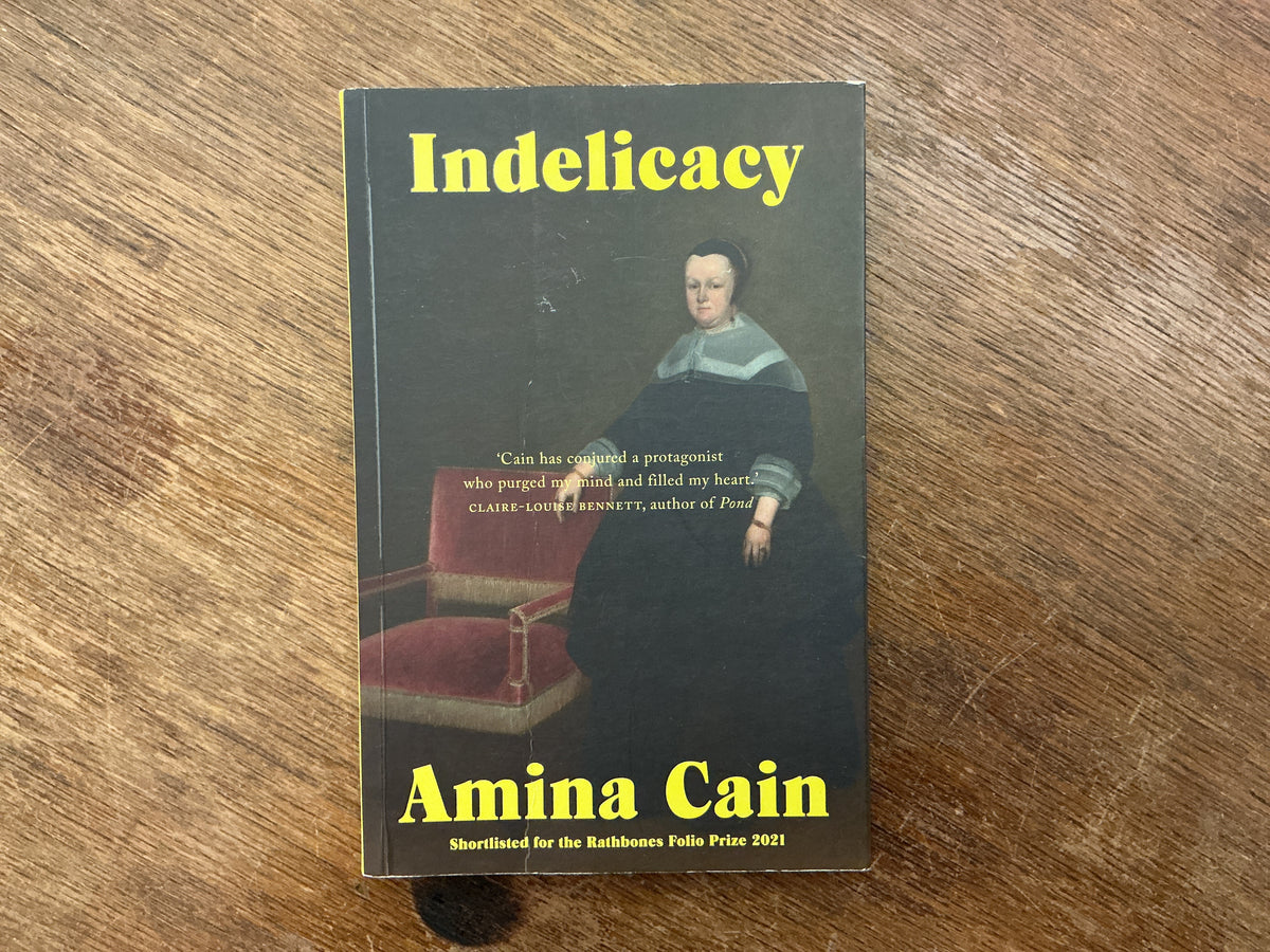 Indelicacy by Amina Cain