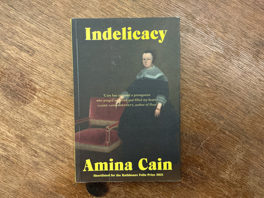 Indelicacy by Amina Cain