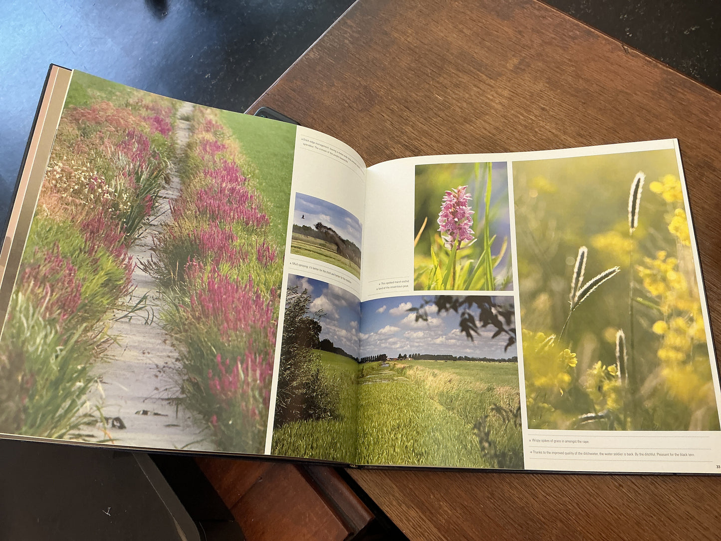 Wandering Around Polders and Lakes by Maarten Koch