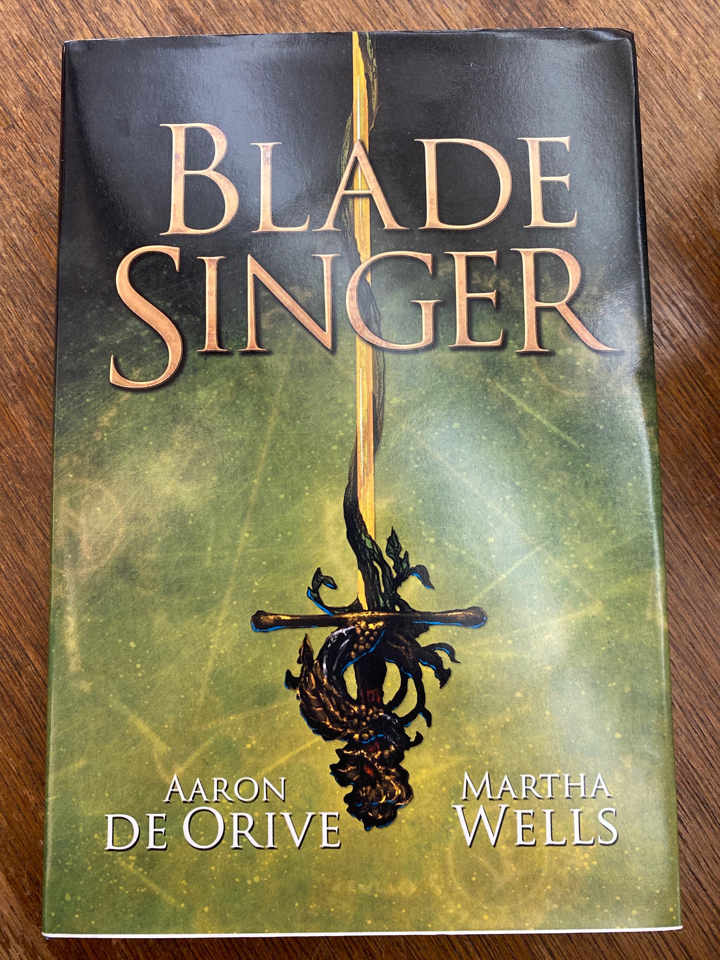 Blade Singer by Aaron De Orive
