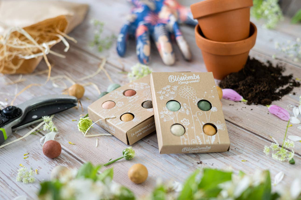 Organic Gift – ‘Wishing You a Colorful Xmas’ - 4 Blossombs