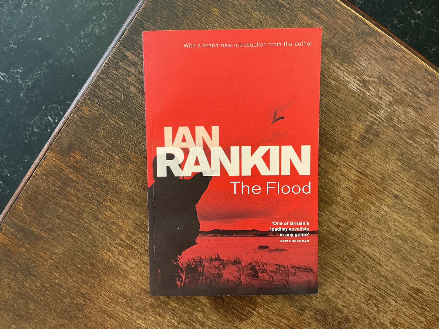 The Flood by Ian Rankin