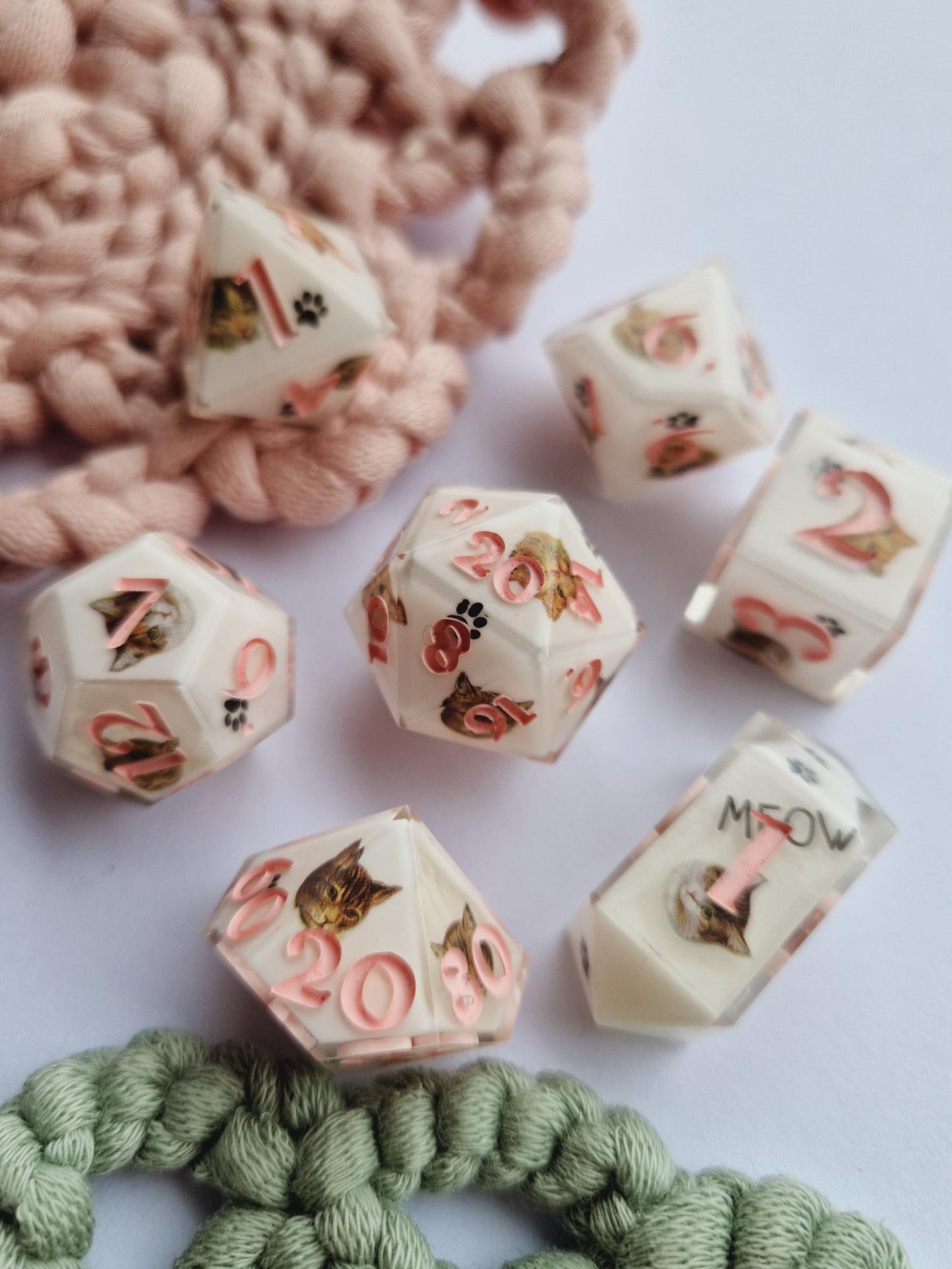 7 piece die set "Cat 20!"