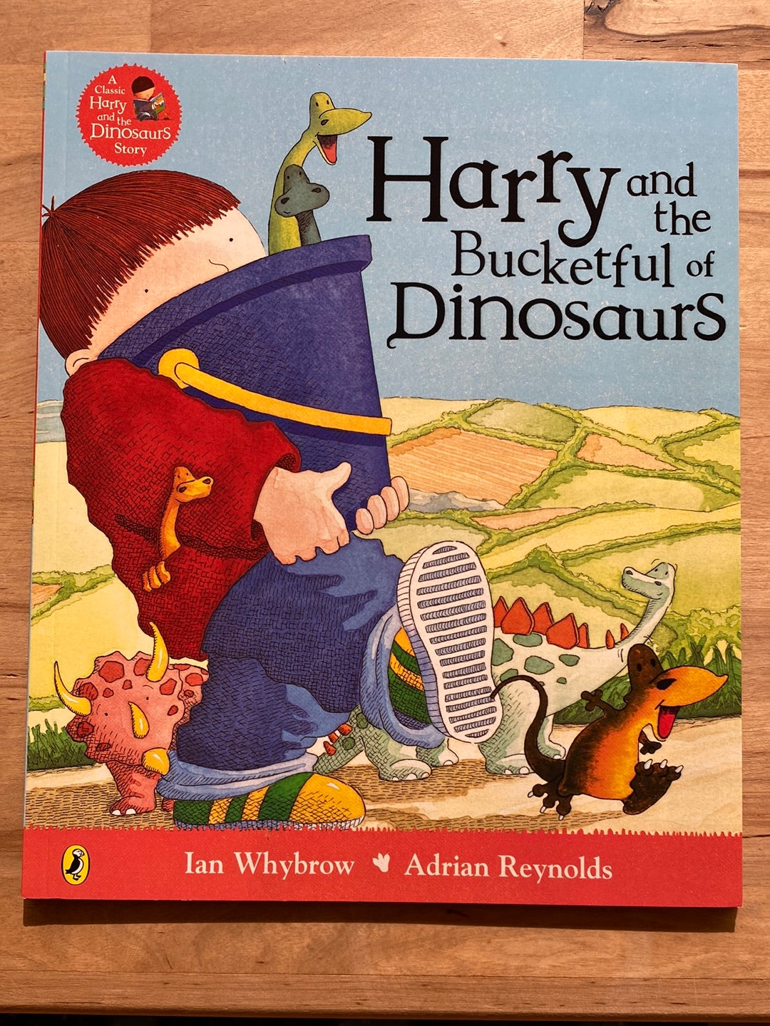 Harry and the Bucketful of Dinosaurs