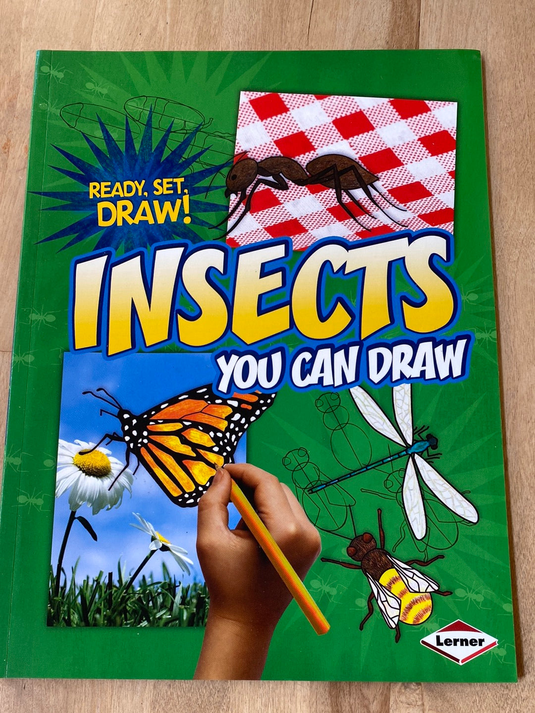 Insects You Can Draw