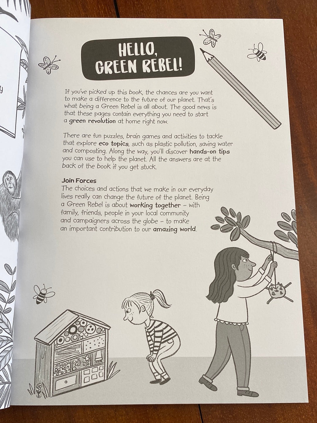 The Green Rebel activity book