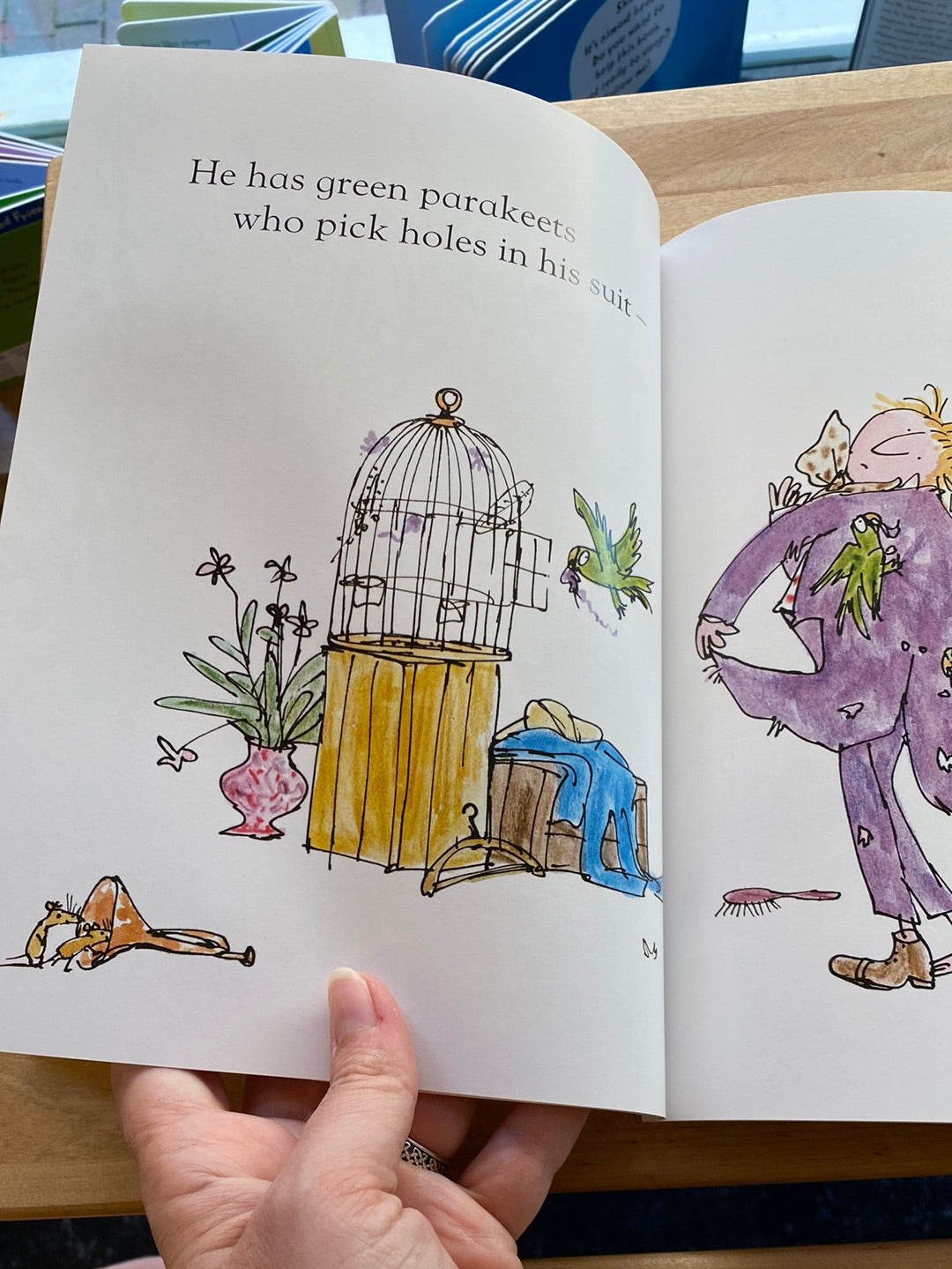 Mister Magnolia by Quentin Blake