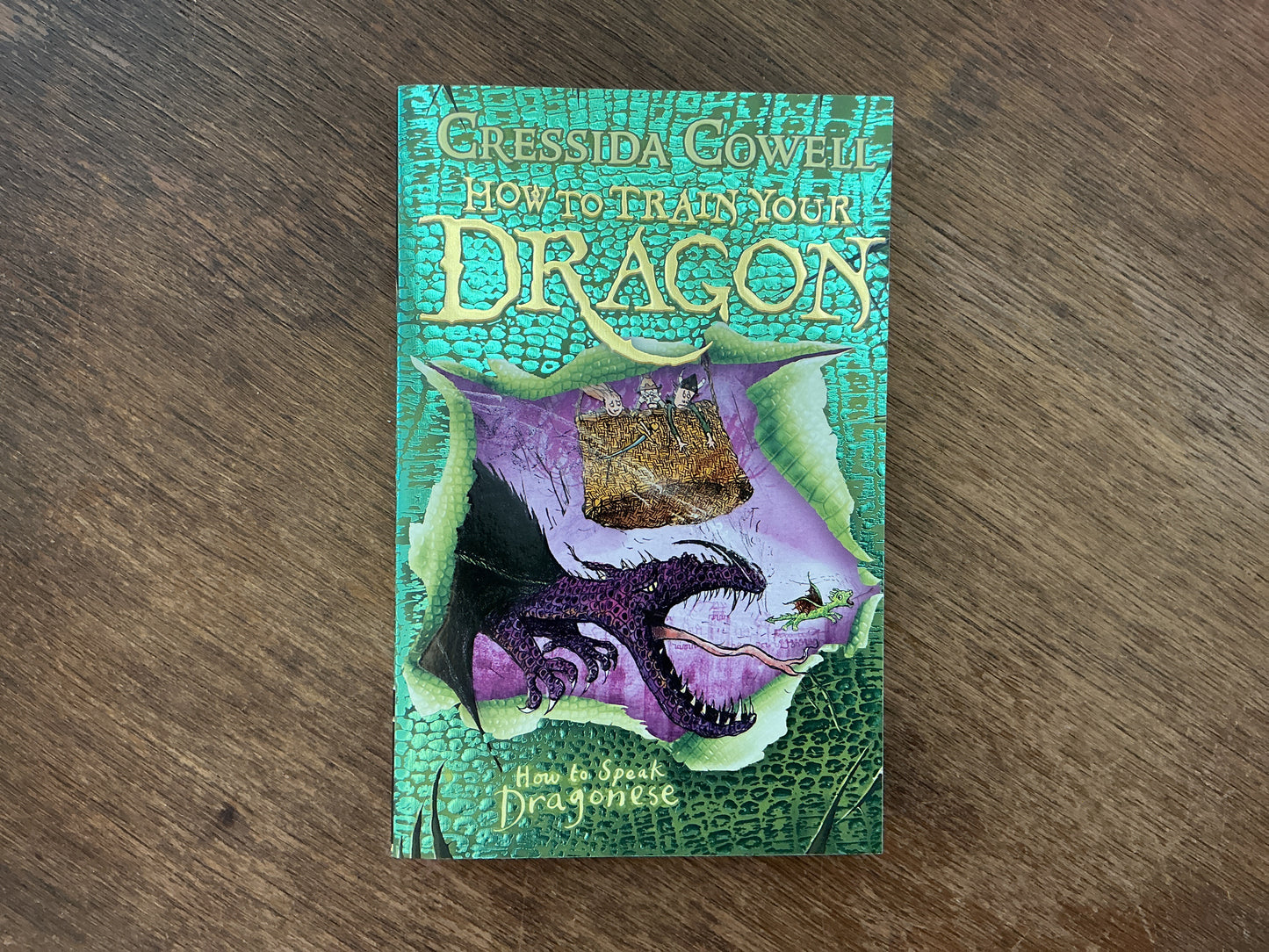How to Train Your Dragon: How To Speak Dragonese: Book 3 by Cressida Cowell