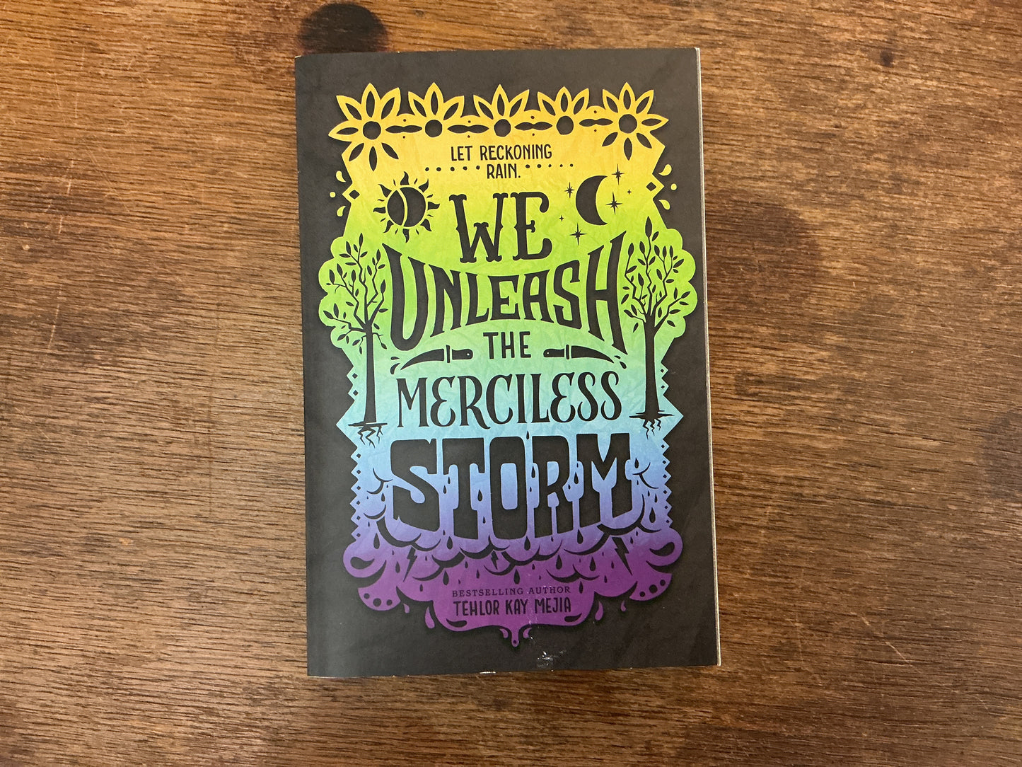 We Unleash the Merciless Storm (We Set the Dark on Fire, 2)