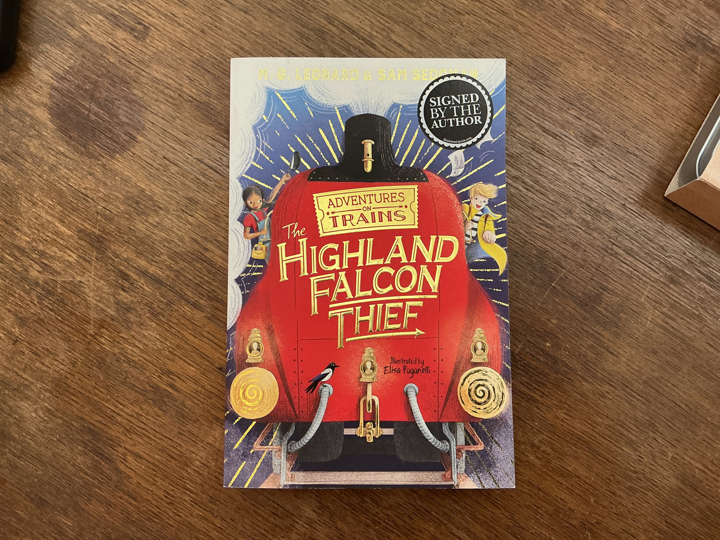 Highland Falcon Thief by M.G. Leonard