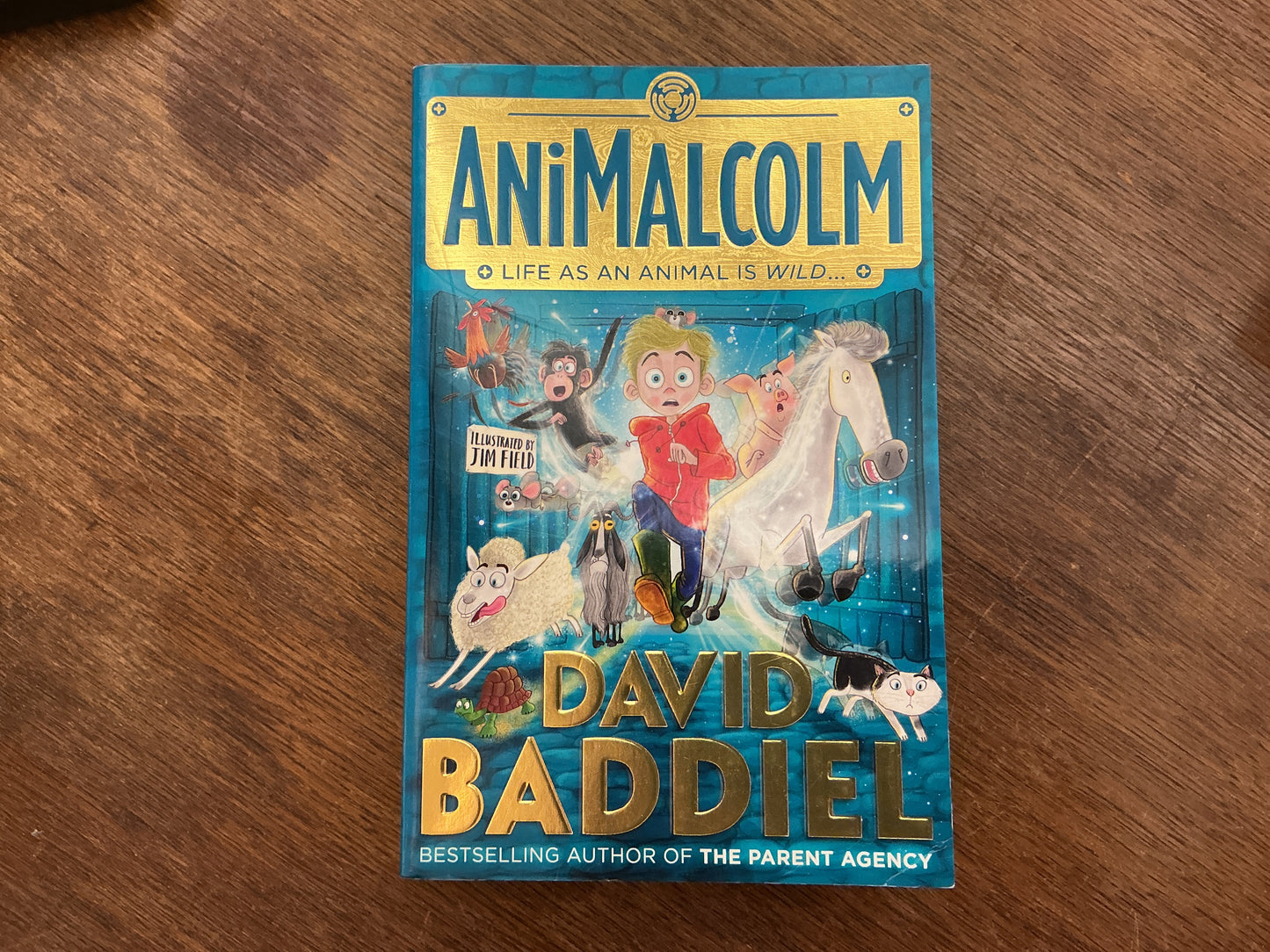 AniMalcolm by David Baddiel