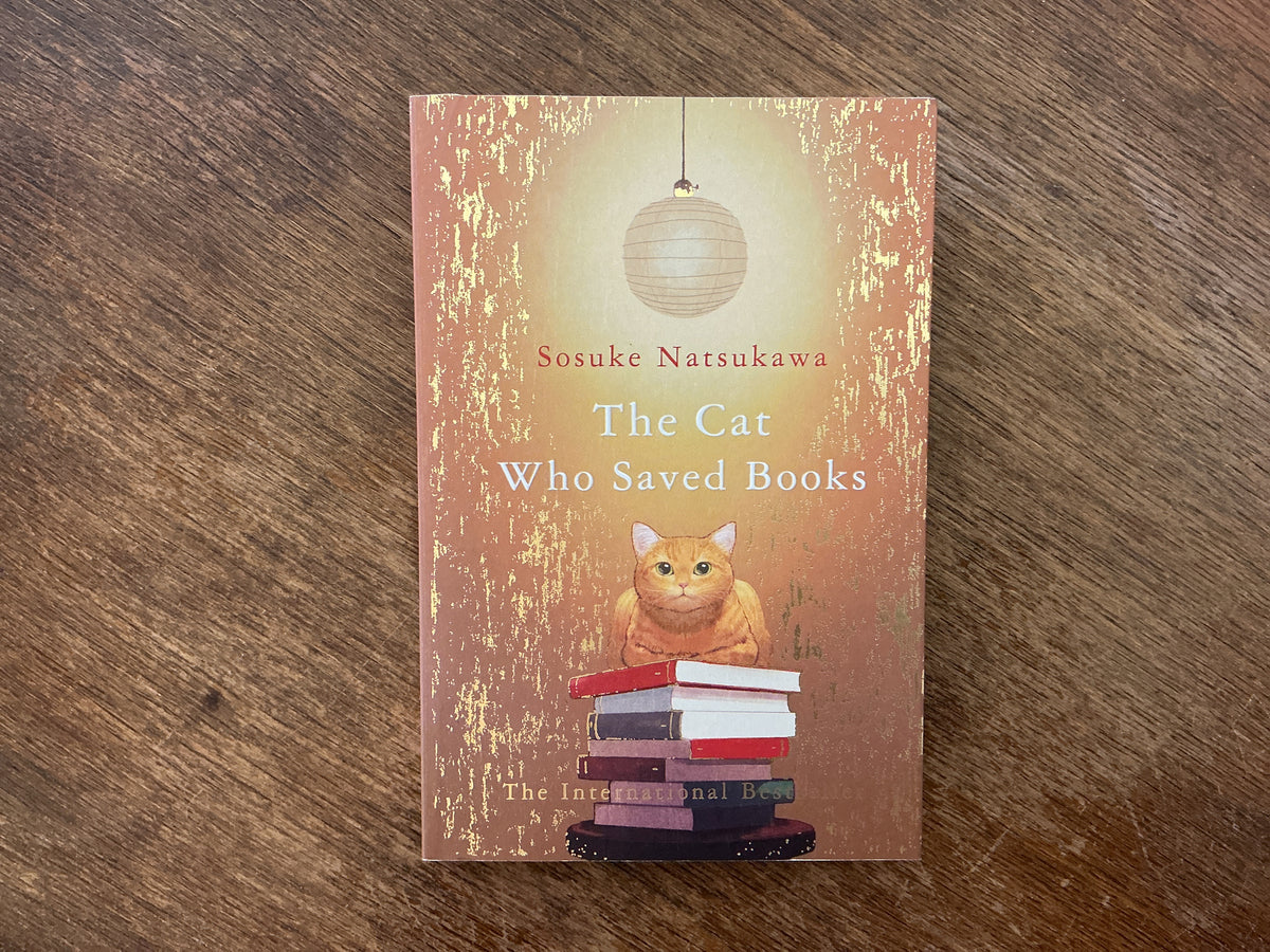 The Cat That Saves Books by Natsukawa Sosuke