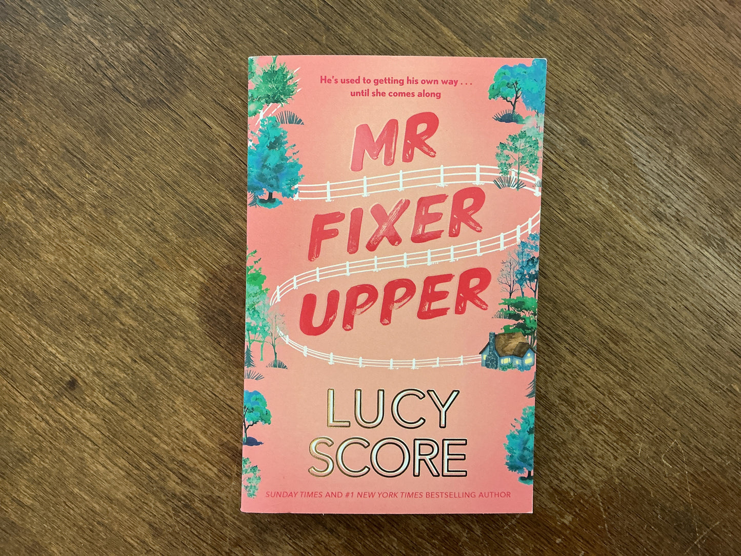 Mr Fixer Upper: the new romance from the 2023 bestselling Tiktok sensation! by Lucy Score