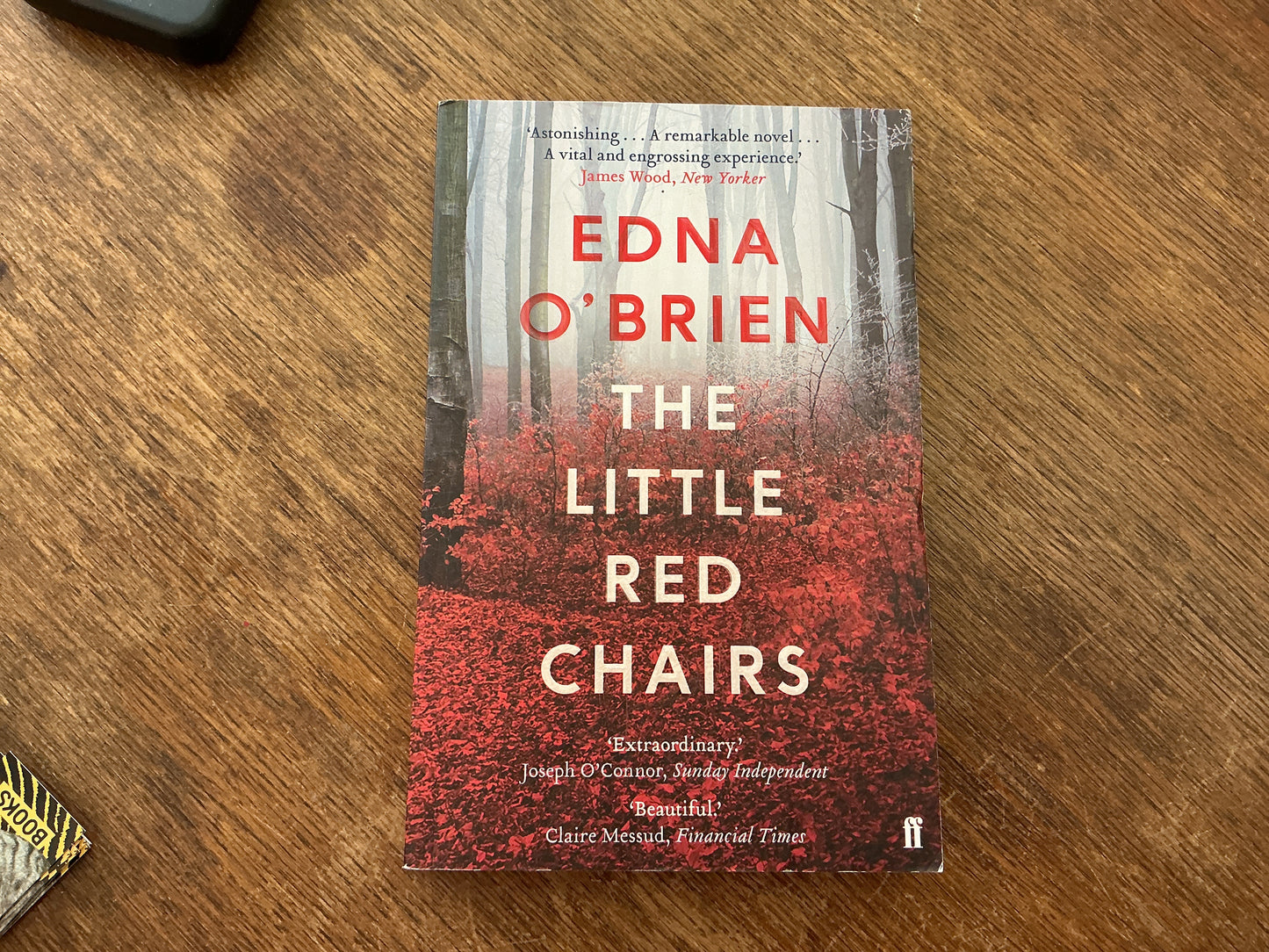 The Little Red Chairs by Edna O'Brien