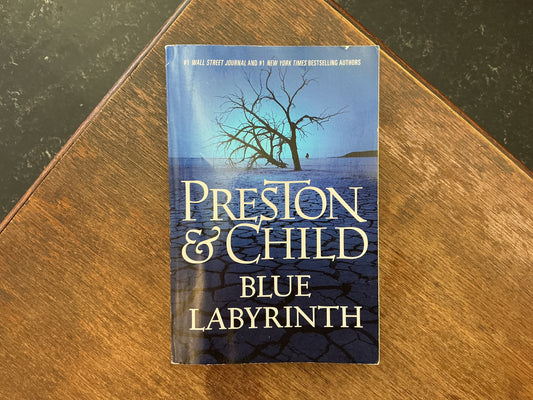 Blue Labyrinth (Agent Pendergast Series, 14) by Douglas Preston