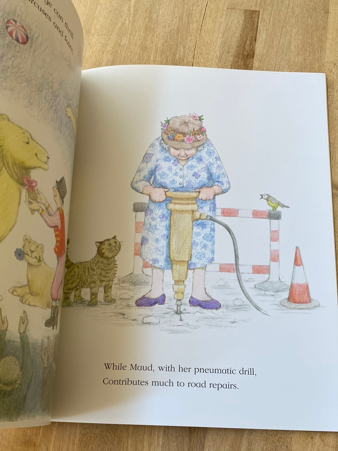 The Great Granny Gang by Judith Kerr