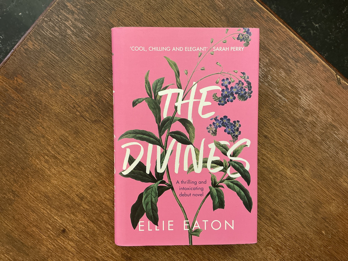 The Divines by Ellie Eaton