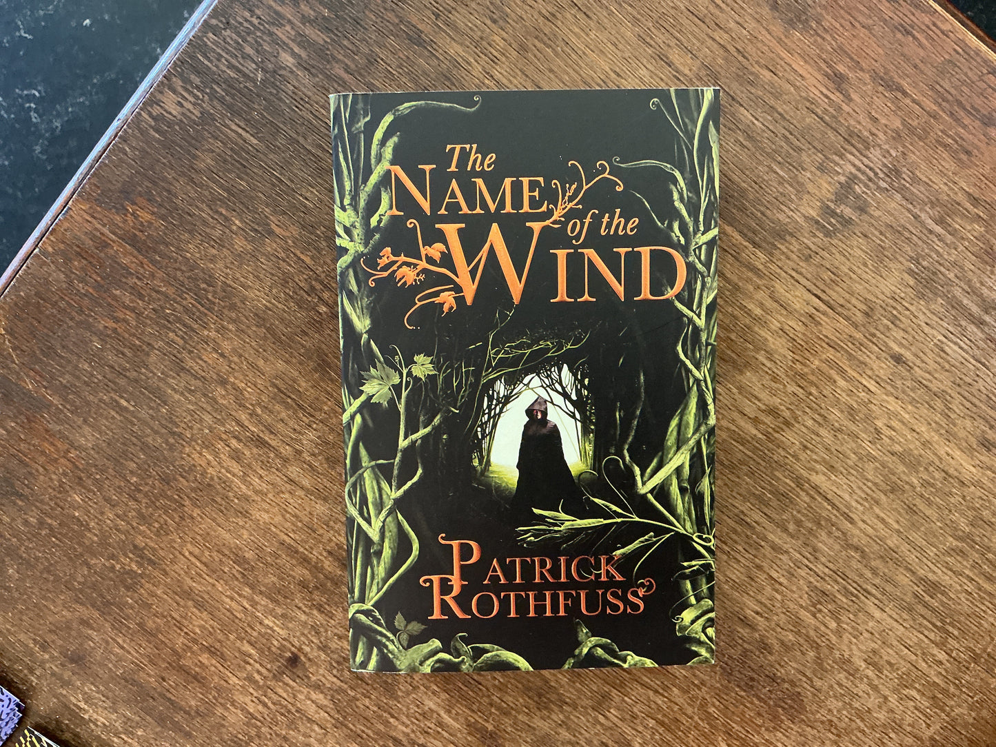 The Name of the Wind by Patrick Rothfuss