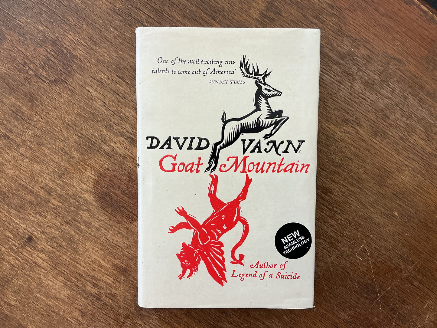 Goat Mountain by David Vann