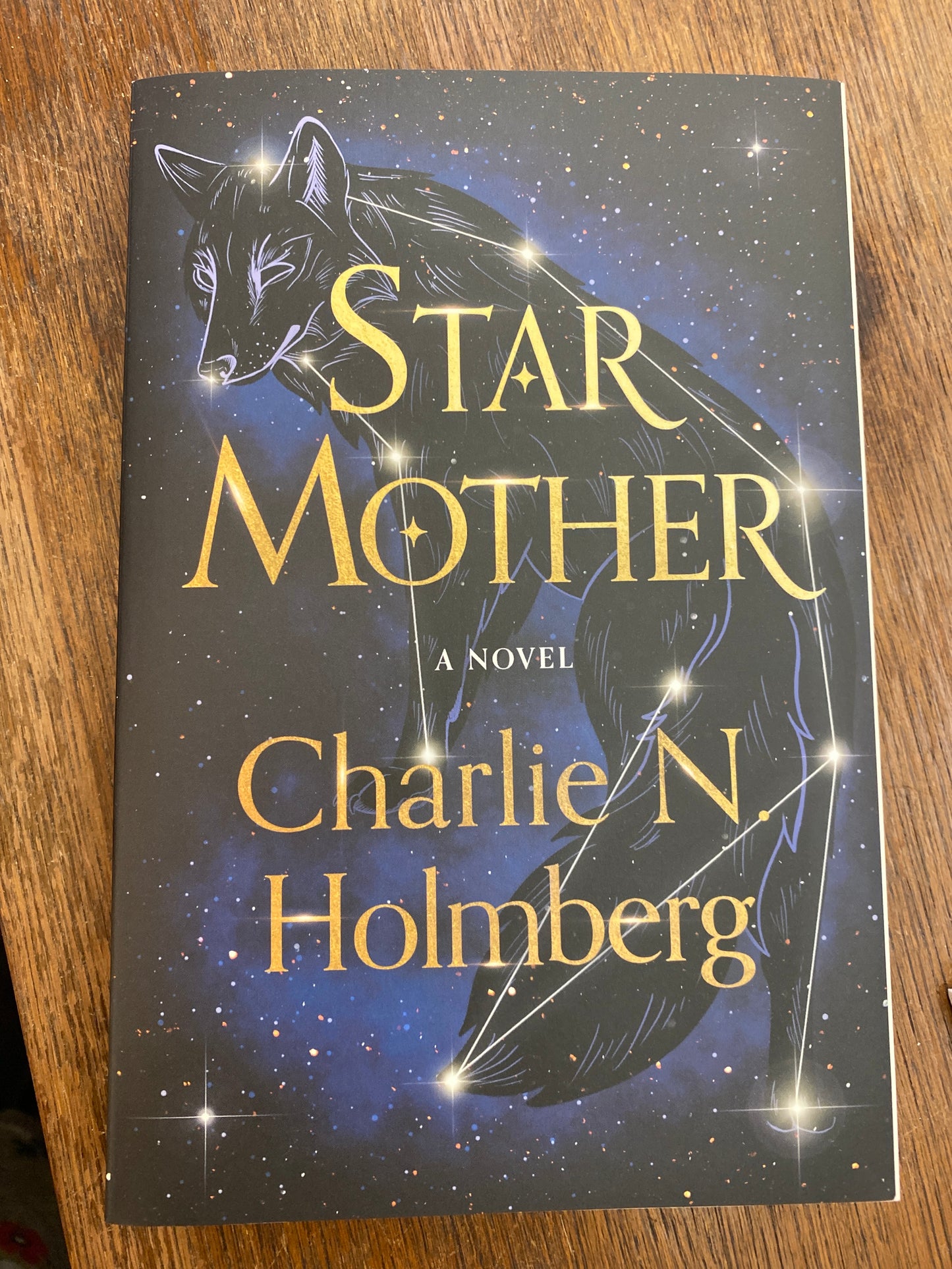Star Mother (book 1) by Charlie N. Holmberg