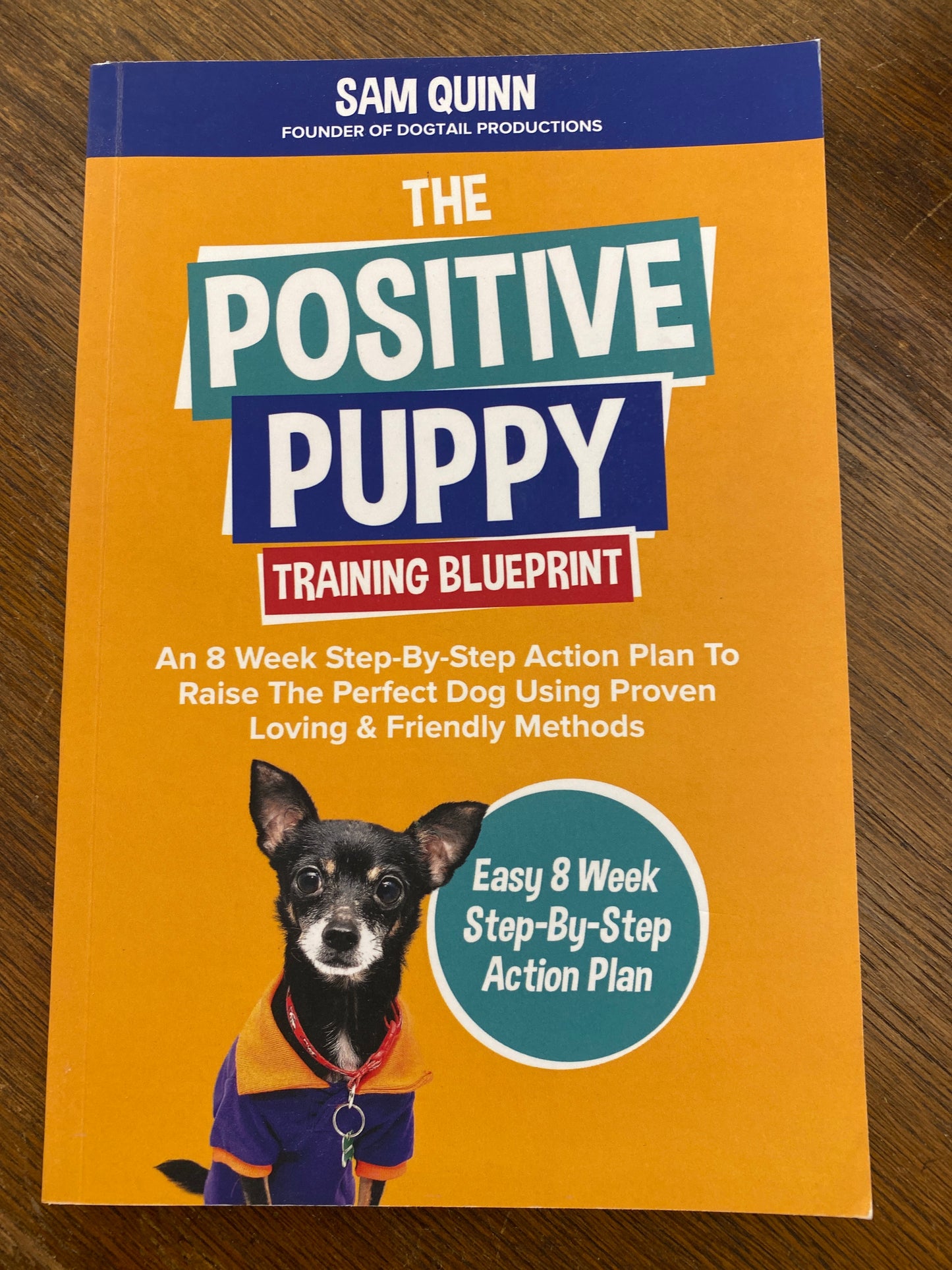 The Positive Puppy Training Blueprint