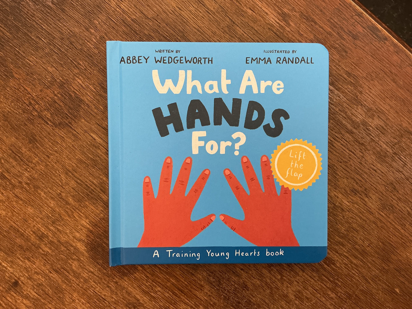 What Are Hands For? Board Book: Training Young Hearts