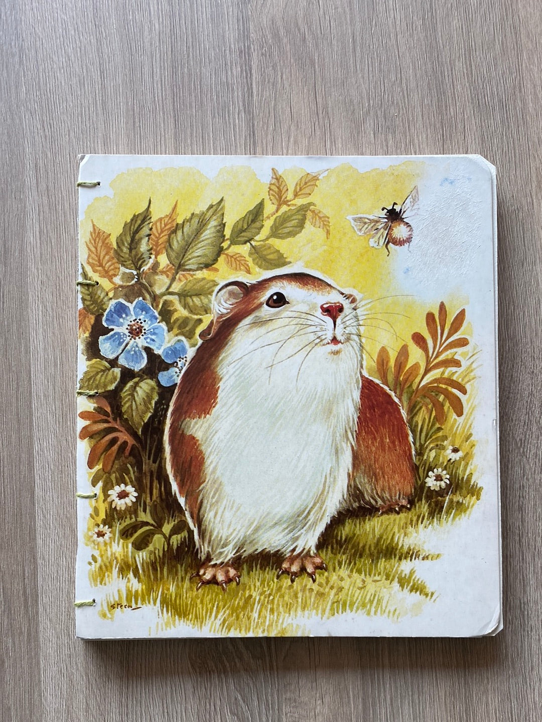 Handmade Guinea pig notebook (unlined)