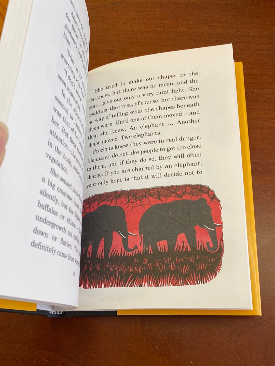 Precious and the Zebra Necklace by Alexander McCall Smith