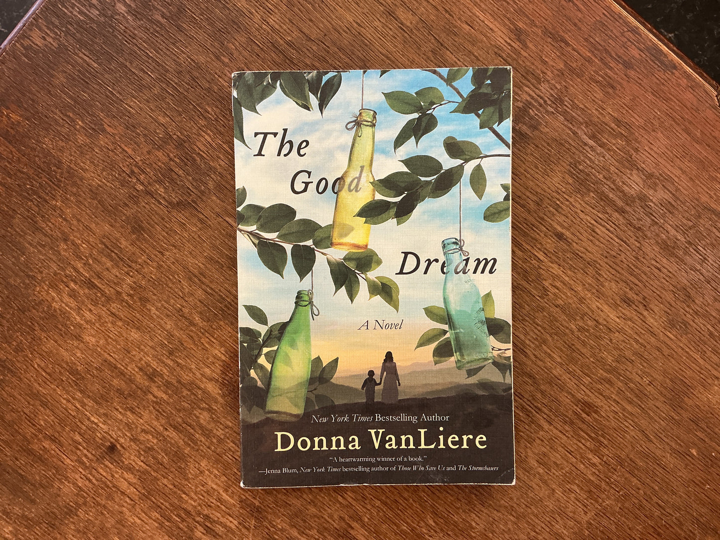 The Good Dream: A Novel by Donna VanLiere