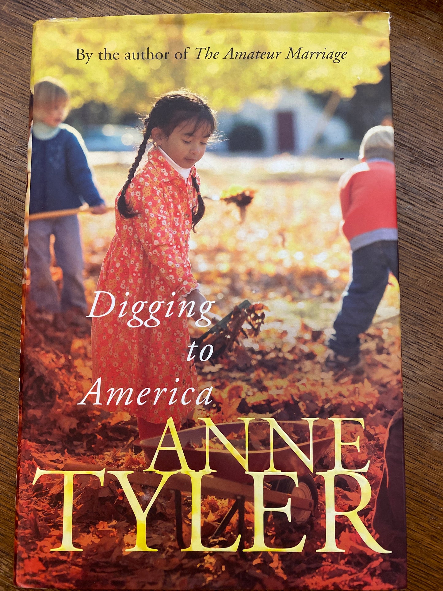 Digging to America by Anne Tyler