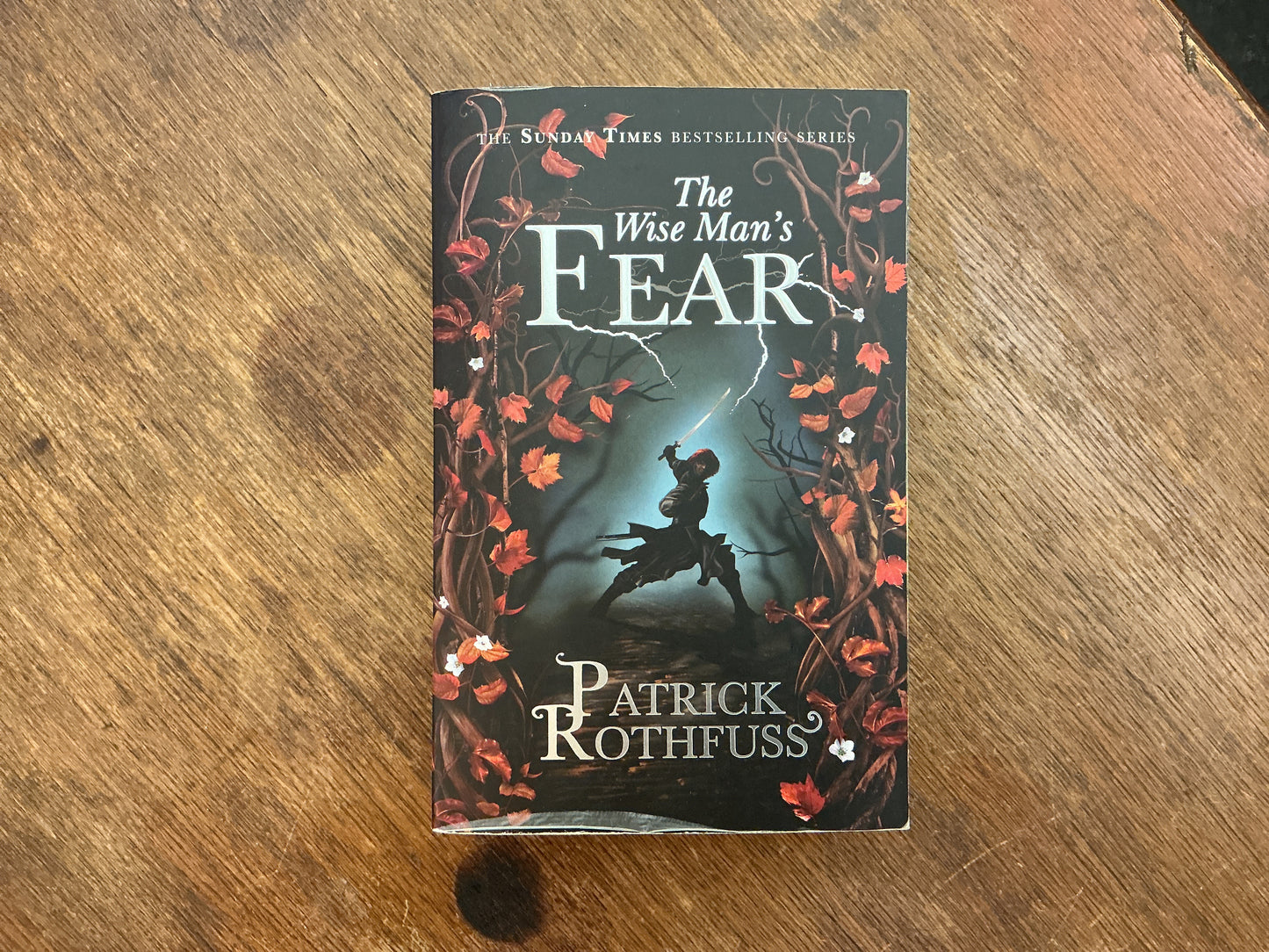 The Wise Man’s Fear (The Kingkiller Chronicle #2) by Patrick Rothfuss