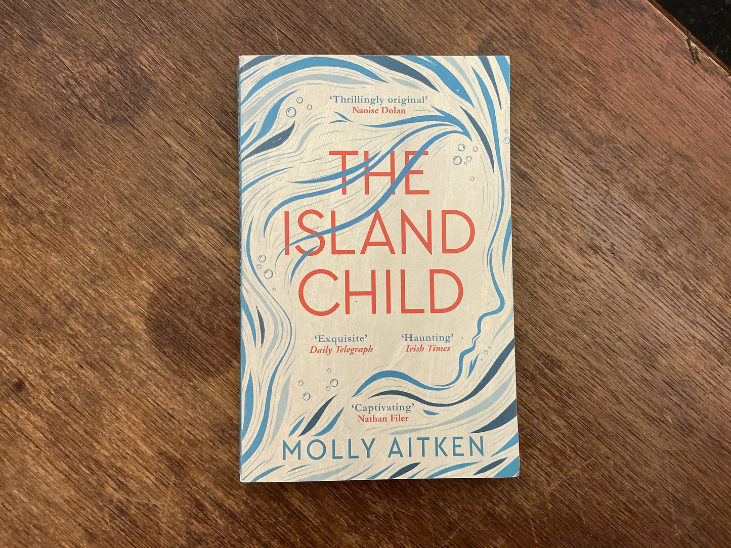 The Island Child by Molly Autken