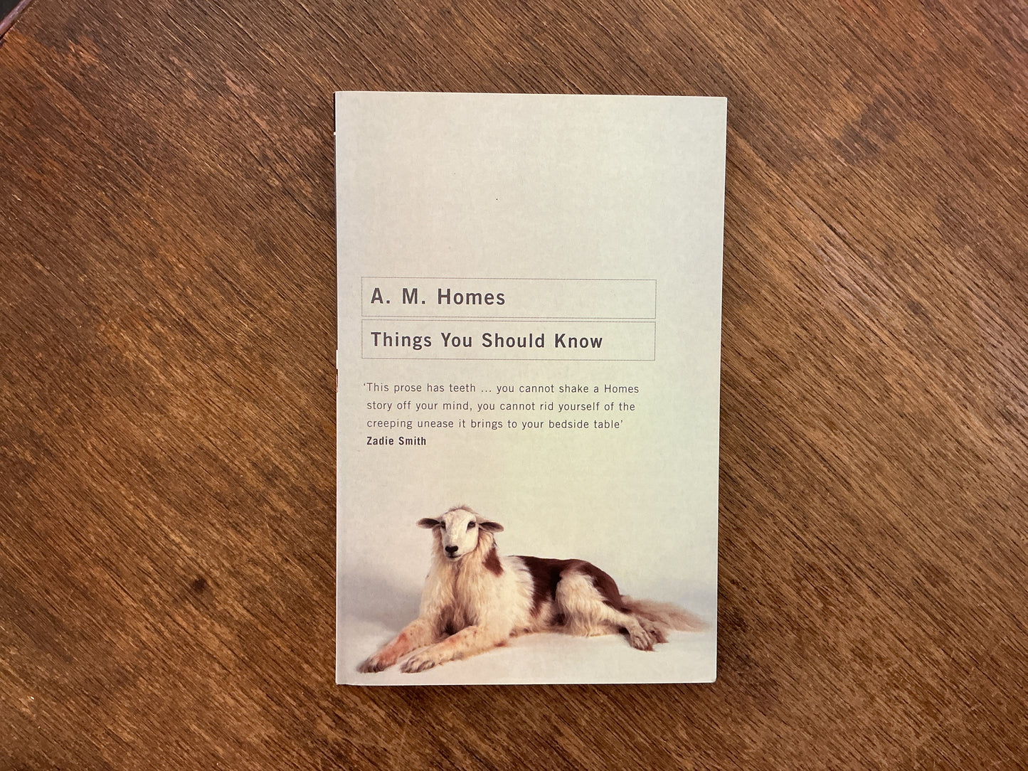 Things You Should Know by A. M. Homes