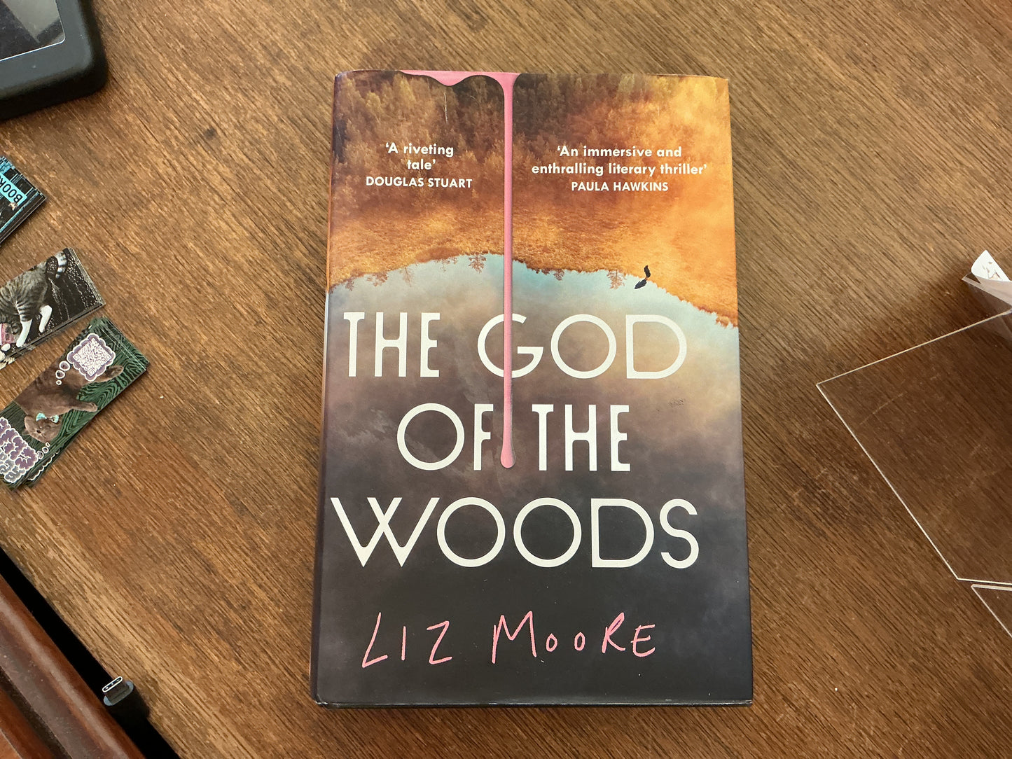 The God of the Woods by Liz Moore