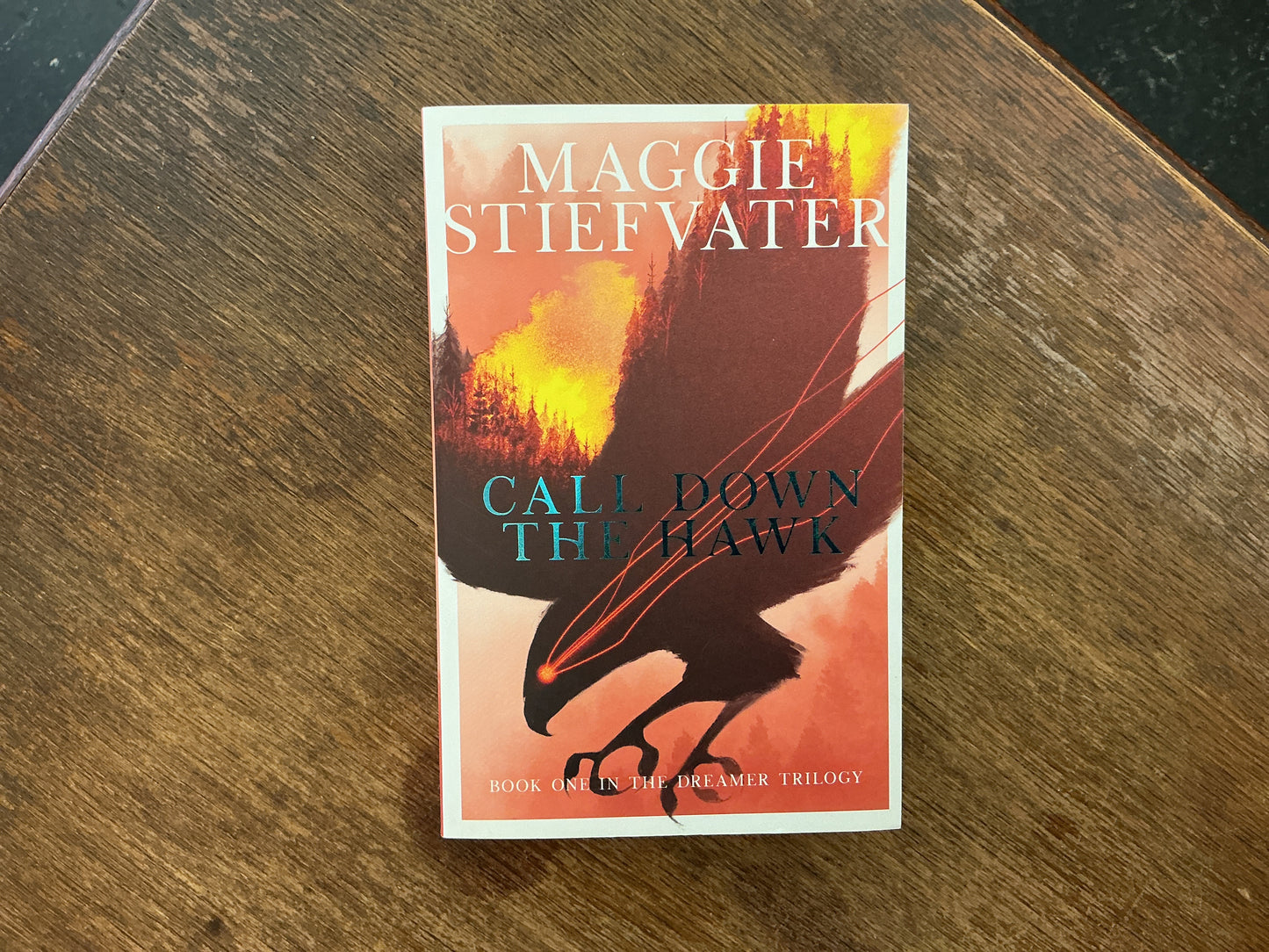 Call Down the Hawk by Maggie Stiefvater