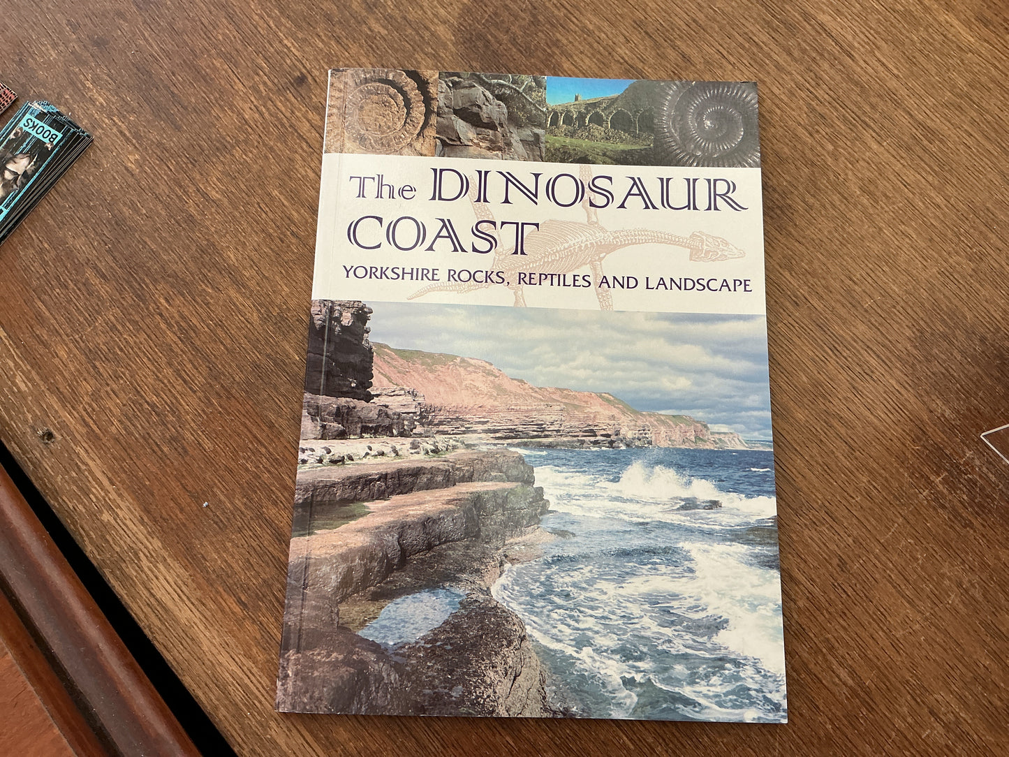Dinosaur Coast
